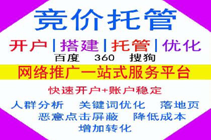 成功案例：百度推广代理助力电商突破